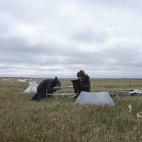 Clair and Scott taking pointframe measurements